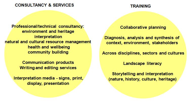 Consultancy - Services - Training