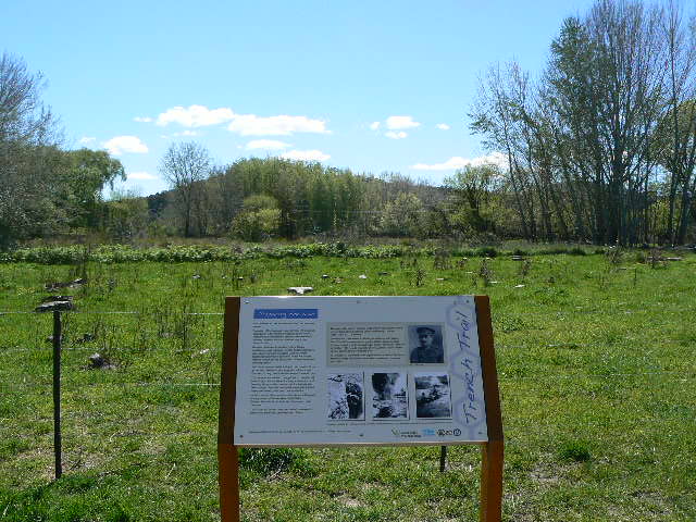 Trench trail signs - Michael Maconachie