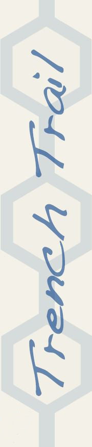 Trench Trail motif